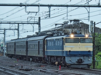 JR東日本 国鉄EF65形電気機関車 EF65-501 鉄道フォト・写真 by FM-805Dさん ：2019年07月14日06時ごろ
