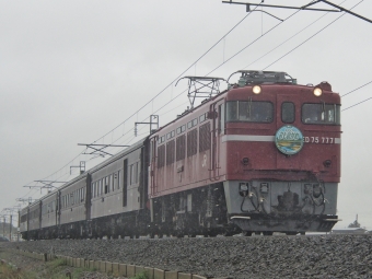 JR東日本 国鉄ED75形電気機関車 ELレトロおものがわ ED75-777 鉄道フォト・写真 by FM-805Dさん ：2022年09月24日11時ごろ