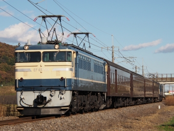 JR東日本 国鉄EF65形電気機関車 EF65-501・EF64-1000 鉄道フォト・写真 by FM-805Dさん 大平下駅：2021年11月28日13時ごろ