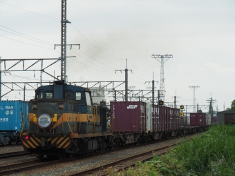 JR貨物 国鉄DE10形ディーゼル機関車 DE10-1082 鉄道フォト・写真 by FM-805Dさん ：2020年06月12日17時ごろ