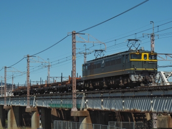JR西日本 国鉄EF65形電気機関車 梅小路配給 EF65-1124 鉄道フォト・写真 by FM-805Dさん 桂川駅 (京都府)：2020年06月07日14時ごろ