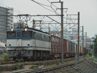 JR貨物 国鉄EF65形電気機関車 EF65-2095 鉄道フォト・写真 by FM-805Dさん ：2020年06月27日07時ごろ