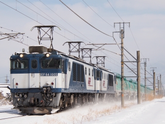 JR貨物 国鉄EF64形電気機関車 EF64-1005 鉄道フォト・写真 by FM-805Dさん ：2022年02月14日11時ごろ