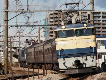 JR東日本 国鉄EF65形電気機関車 EF65-501・旧客4・EF64-1001 鉄道フォト・写真 by FM-805Dさん ：2021年11月27日09時ごろ
