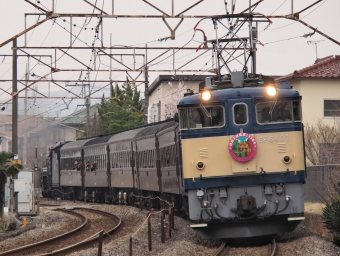 JR東日本 国鉄EF64形電気機関車 ELぐんま よこかわ(快速) EF64-37 鉄道フォト・写真 by FM-805Dさん ：2021年03月28日15時ごろ