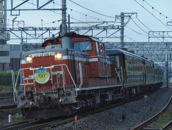 JR西日本 国鉄DD51形ディーゼル機関車 サロンカーなにわ DD51-1183 鉄道フォト・写真 by FM-805Dさん 茨木駅：2019年07月16日05時ごろ