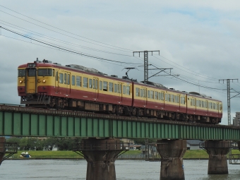 JR東日本 国鉄115系電車 115系 鉄道フォト・写真 by FM-805Dさん ：2020年07月23日13時ごろ