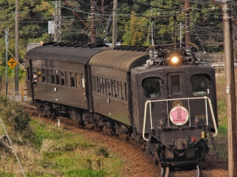 大井川鐵道 E102 ELさくら E102 鉄道フォト・写真 by FM-805Dさん ：2021年03月27日15時ごろ
