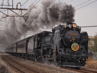 JR東日本 D51形 SLぐんま よこかわ(快速) D51 498 鉄道フォト・写真 by FM-805Dさん ：2021年03月28日09時ごろ