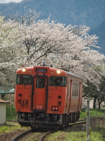 JR西日本 国鉄キハ40系気動車 キハ40 鉄道フォト・写真 by FM-805Dさん ：2020年04月05日10時ごろ