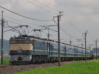 JR東日本 国鉄EF65形電気機関車 ELぐんま よこかわ(快速) EF65-501 鉄道フォト・写真 by FM-805Dさん ：2022年08月11日10時ごろ