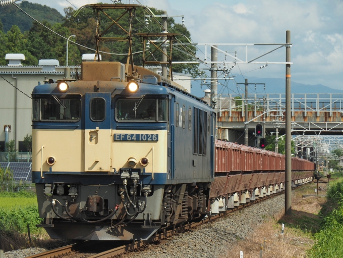 鉄道フォト・写真：JR貨物 国鉄EF64形電気機関車 EF64-1026 美濃赤坂 鉄道フォト・写真 by FM-805Dさん - 撮影日 2019/09/07 09:23