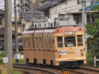 広島電鉄3100形電車 3101 鉄道フォト・写真 by FM-805Dさん ：2022年10月10日12時ごろ