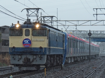 JR貨物 国鉄EF65形電気機関車 EF65-2101 鉄道フォト・写真 by FM-805Dさん ：2020年03月08日08時ごろ