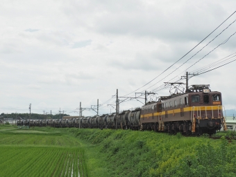 三岐鉄道ED5081形電気機関車 ED5081 鉄道フォト・写真 by FM-805Dさん 保々駅：2020年09月13日12時ごろ