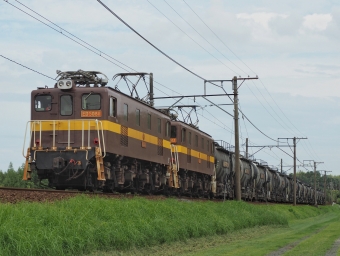 三岐鉄道ED5081形電気機関車 ED5081 鉄道フォト・写真 by FM-805Dさん ：2020年09月13日15時ごろ
