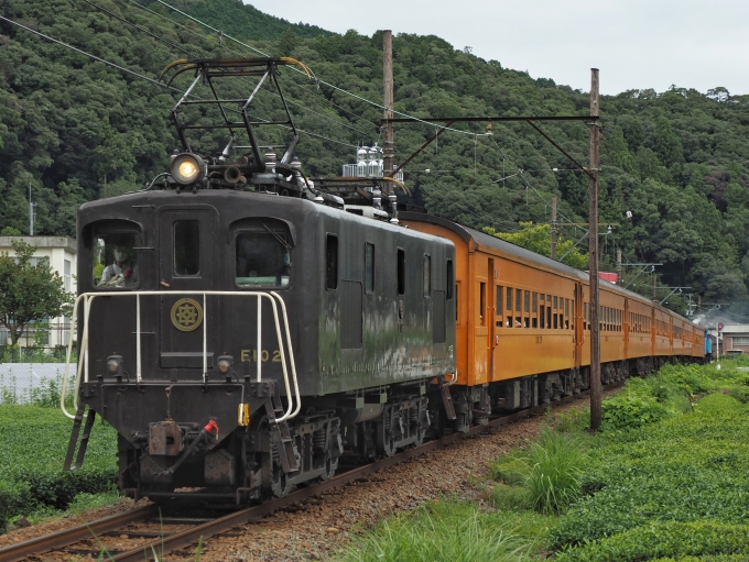 大井川鐵道 大井川鉄道E10形電気機関車 E102 鉄道フォト・写真 by FM-805Dさん ：2020年09月12日11時ごろ