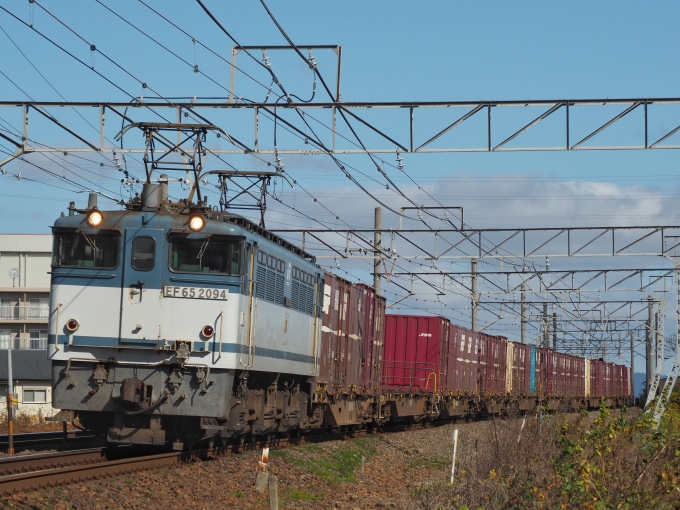 鉄道フォト・写真：JR貨物 国鉄EF65形電気機関車 EF65-2094 守山 鉄道フォト・写真 by FM-805Dさん - 撮影日 2020/11/21 12:42