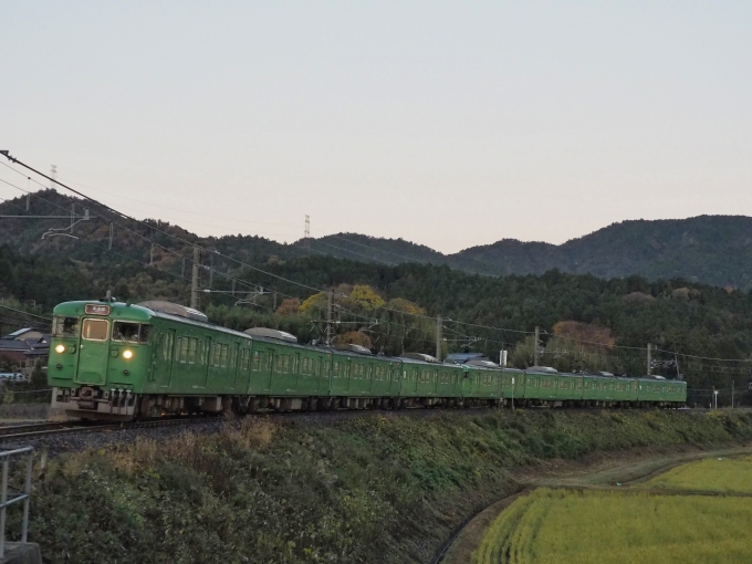 JR西日本 国鉄111系電車 鉄道フォト・写真 by FM-805Dさん 貴生川駅 (JR)：2020年11月22日06時ごろ