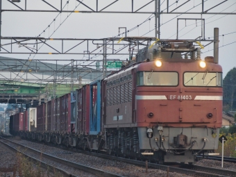 JR貨物 国鉄EF81形電気機関車 EF81-403 鉄道フォト・写真 by FM-805Dさん ：2020年11月08日07時ごろ