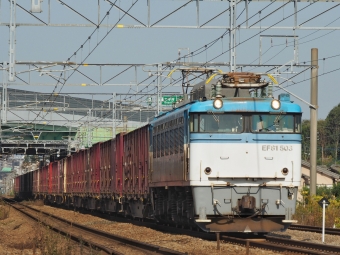 JR貨物 国鉄EF81形電気機関車 EF81-503 鉄道フォト・写真 by FM-805Dさん ：2020年11月08日09時ごろ