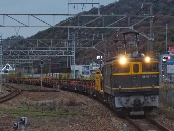 JR西日本 国鉄EF65形電気機関車 EF65-1124 鉄道フォト・写真 by FM-805Dさん 竜野駅：2020年11月22日16時ごろ
