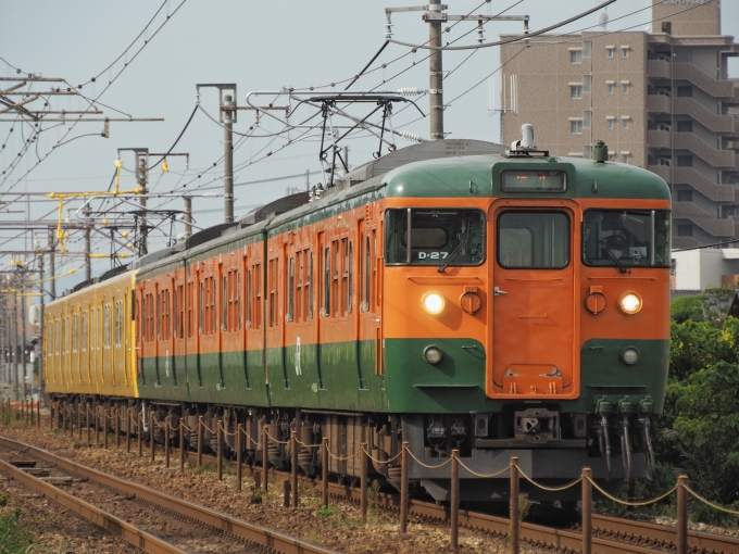 JR西日本 国鉄115系電車 115系 鉄道フォト・写真 by FM-805Dさん ：2020年11月01日09時ごろ