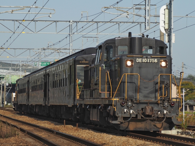 JR九州 国鉄DE10形ディーゼル機関車 DE10-1756 鉄道フォト・写真 by FM-805Dさん ：2020年11月08日09時ごろ