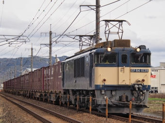 JR貨物 国鉄EF64形電気機関車 EF64-1039 鉄道フォト・写真 by FM-805Dさん ：2022年03月19日09時ごろ