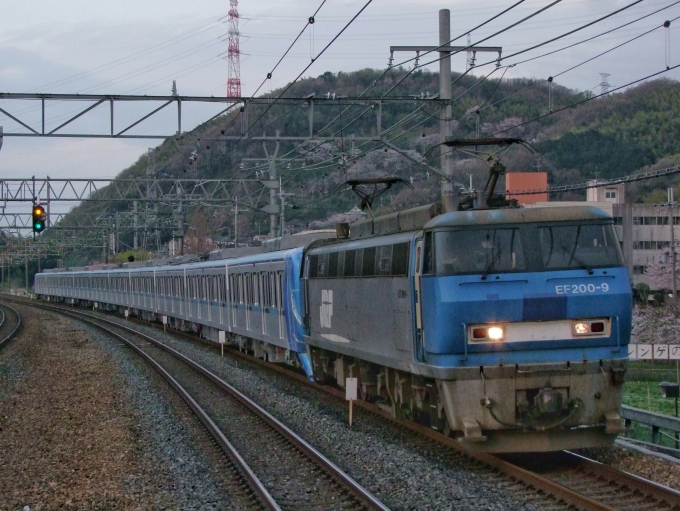 鉄道フォト・写真：JR貨物EF200形電気機関車 EF200-9 島本駅 鉄道フォト・写真 by FM-805Dさん - 撮影日 2011/04/08 05:57