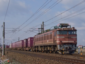 JR貨物 国鉄EF81形電気機関車 EF81-135 鉄道フォト・写真 by FM-805Dさん ：2011年03月11日08時ごろ