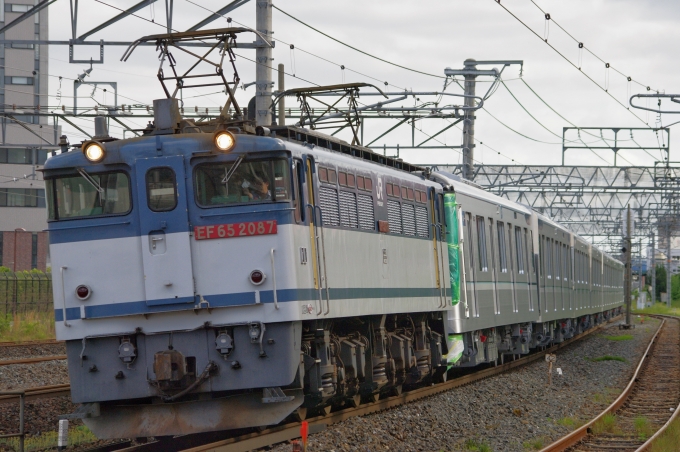 鉄道フォト・写真：JR貨物 国鉄EF65形電気機関車 EF65-2087 茨木駅 鉄道フォト・写真 by FM-805Dさん - 撮影日 2018/05/19 15:58