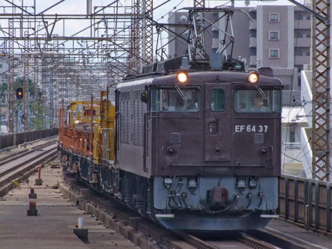 JR東日本 国鉄EF64形電気機関車 EF64-37 鉄道フォト・写真 by FM-805Dさん 北朝霞駅：2010年08月11日12時ごろ