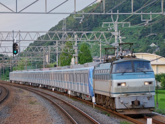 JR貨物 国鉄EF66形電気機関車 EF66-131 島本駅 鉄道フォト・写真 by FM 