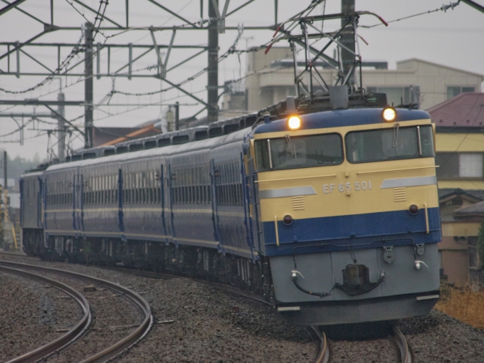 鉄道フォト・写真：JR東日本 国鉄EF65形電気機関車 ELみなかみ EF65-501 鴻巣駅 鉄道フォト・写真 by FM-805Dさん - 撮影日 2017/04/08 07:28