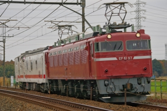 JR東日本 国鉄EF81形電気機関車 EF81-97・マヤ50-5001 鉄道フォト・写真 by FM-805Dさん 間々田駅：2018年12月02日14時ごろ
