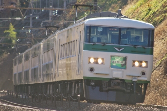 JR東日本 クハ185形 はまかいじ(特急) クハ185-310 鉄道フォト・写真 by FM-805Dさん ：2018年12月29日09時ごろ