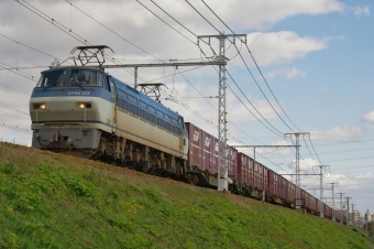 JR貨物 国鉄EF66形電気機関車 EF66-133 鉄道フォト・写真 by FM-805Dさん 甲子園口駅：2016年11月25日12時ごろ