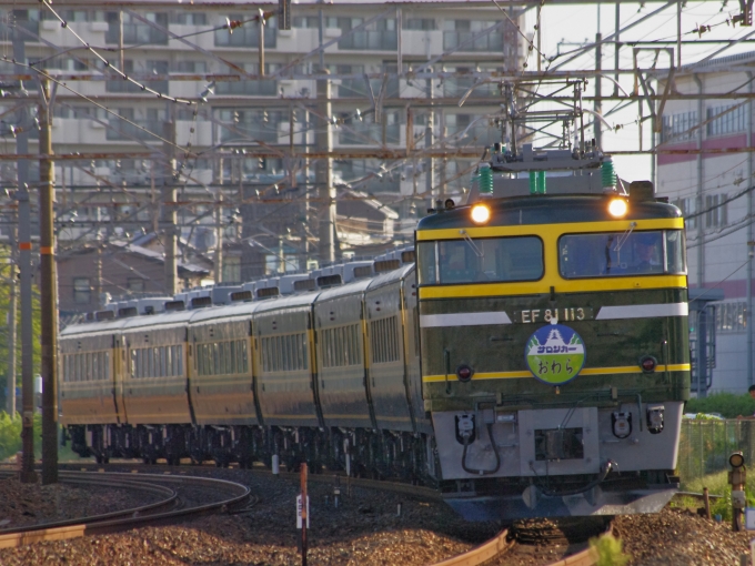 JR西日本 国鉄EF81形電気機関車 サロンカーおわら(サロンカーなにわ) EF81-113 鉄道フォト・写真 by FM-805Dさん 岸辺駅：2016年09月04日07時ごろ