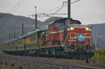 JR西日本 国鉄DD51形ディーゼル機関車 サロンカーなにわ DD51-1191 鉄道フォト・写真 by FM-805Dさん 三田駅 (兵庫県|JR)：2016年11月19日09時ごろ
