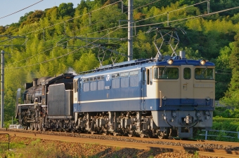 JR西日本 国鉄EF65形電気機関車 EF65-1133 鉄道フォト・写真 by FM-805Dさん 彦根駅 (JR)：2017年06月04日17時ごろ