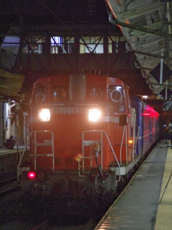 JR東日本 国鉄DE10形ディーゼル機関車 はまなす(急行) d10-1536 鉄道フォト・写真 by FM-805Dさん 青森駅 (JR)：2013年08月12日22時ごろ