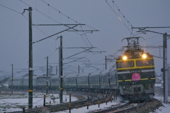 JR西日本 国鉄EF81形電気機関車 トワイライトエクスプレス(特急) EF81-43 鉄道フォト・写真 by FM-805Dさん 魚津駅：2015年02月14日16時ごろ