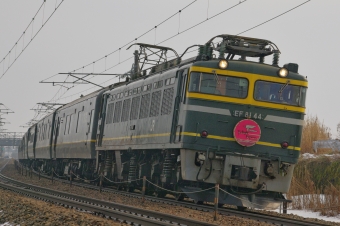 JR西日本 国鉄EF81形電気機関車 トワイライトエクスプレス(特急) EF81-44 鉄道フォト・写真 by FM-805Dさん 西高岡駅：2015年02月15日09時ごろ