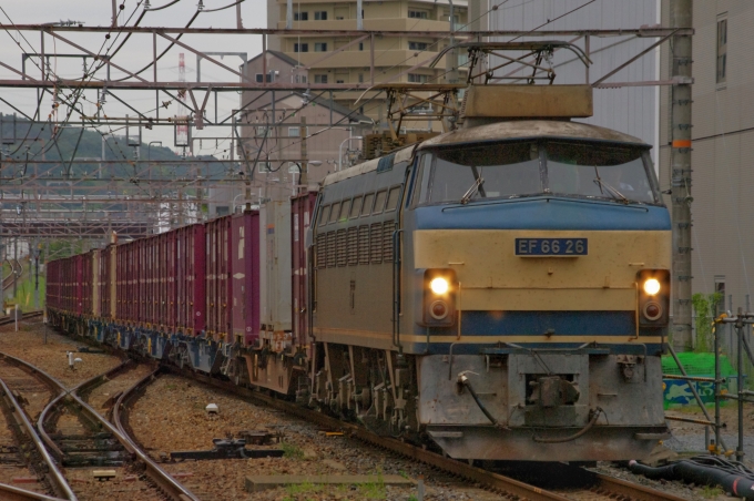 鉄道フォト・写真：JR貨物 国鉄EF66形電気機関車 EF66-26 高槻駅 鉄道フォト・写真 by FM-805Dさん - 撮影日 2014/09/20 10:18