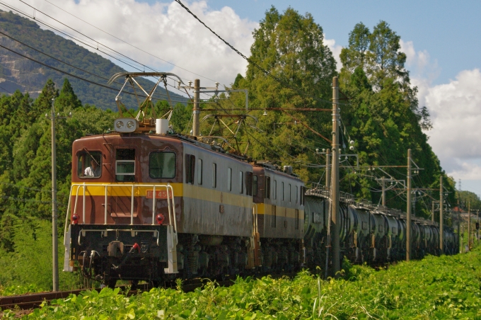 三岐鉄道ED45形電気機関車 ED458 鉄道フォト・写真 by FM-805Dさん 東藤原駅：2014年09月13日13時ごろ