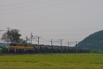 三岐鉄道ED45形電気機関車 鉄道フォト・写真 by FM-805Dさん 山城駅：2014年09月06日16時ごろ