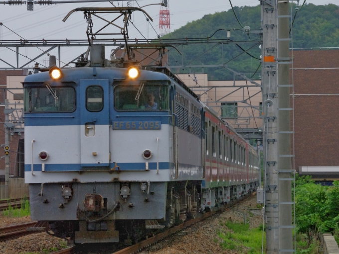 鉄道フォト・写真：JR貨物 国鉄EF65形電気機関車 EF65-2095 島本駅 鉄道フォト・写真 by FM-805Dさん - 撮影日 2014/08/03 15:09