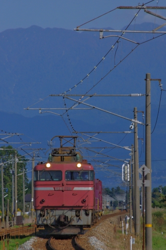 JR貨物 EF81-729 鉄道フォト・写真 by FM-805Dさん 東富山駅：2013年10月13日14時ごろ
