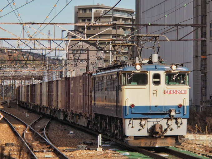 鉄道フォト・写真：JR貨物 国鉄EF65形電気機関車 EF65-2081 高槻駅 鉄道フォト・写真 by FM-805Dさん - 撮影日 2022/12/18 14:08